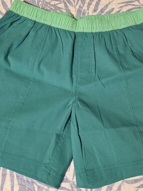 NWT! The North Face Class V Pullok Shorts Size Medium